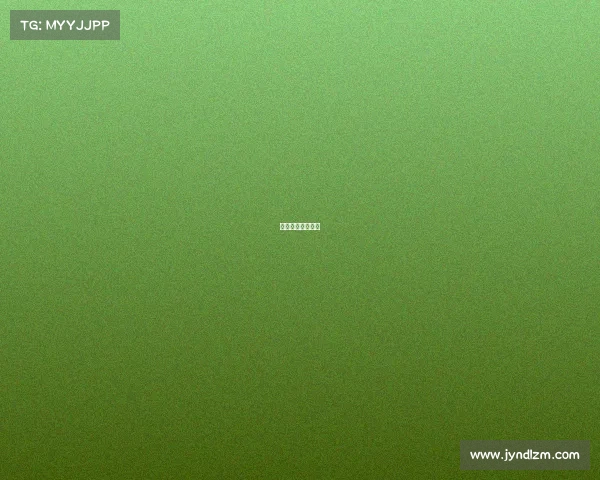 罗纳尔多比赛集锦